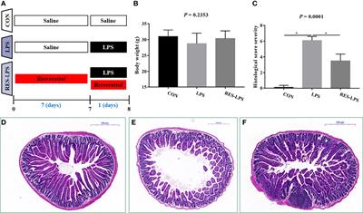 Regulatory Effect of Resveratrol on Inflammation Induced by Lipopolysaccharides via Reprograming Intestinal Microbes and Ameliorating Serum Metabolism Profiles